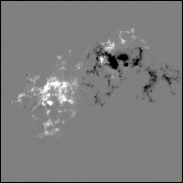 Another Active Region